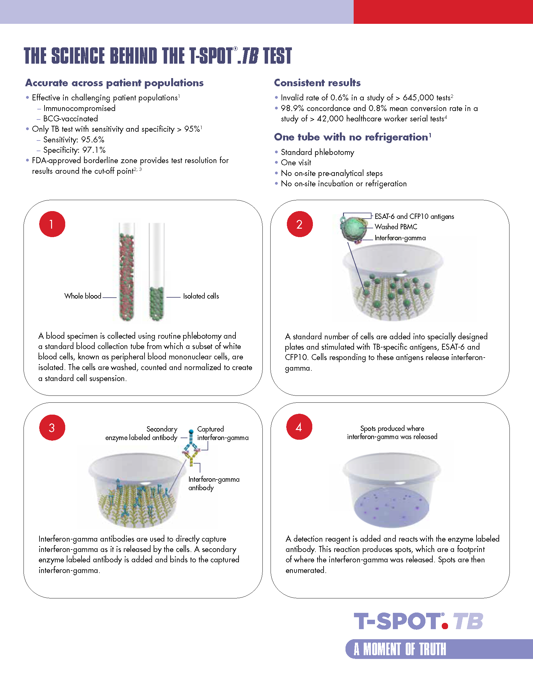 mud calorie Ventilate Science behind the T-SPOT.TB test | T-SPOT.TB
